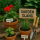what is gardening slang